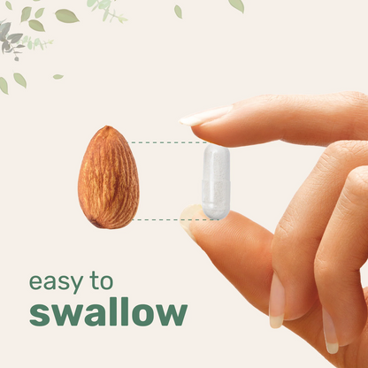 Pure Magnesium Glycinate 1,000mg Per Serving